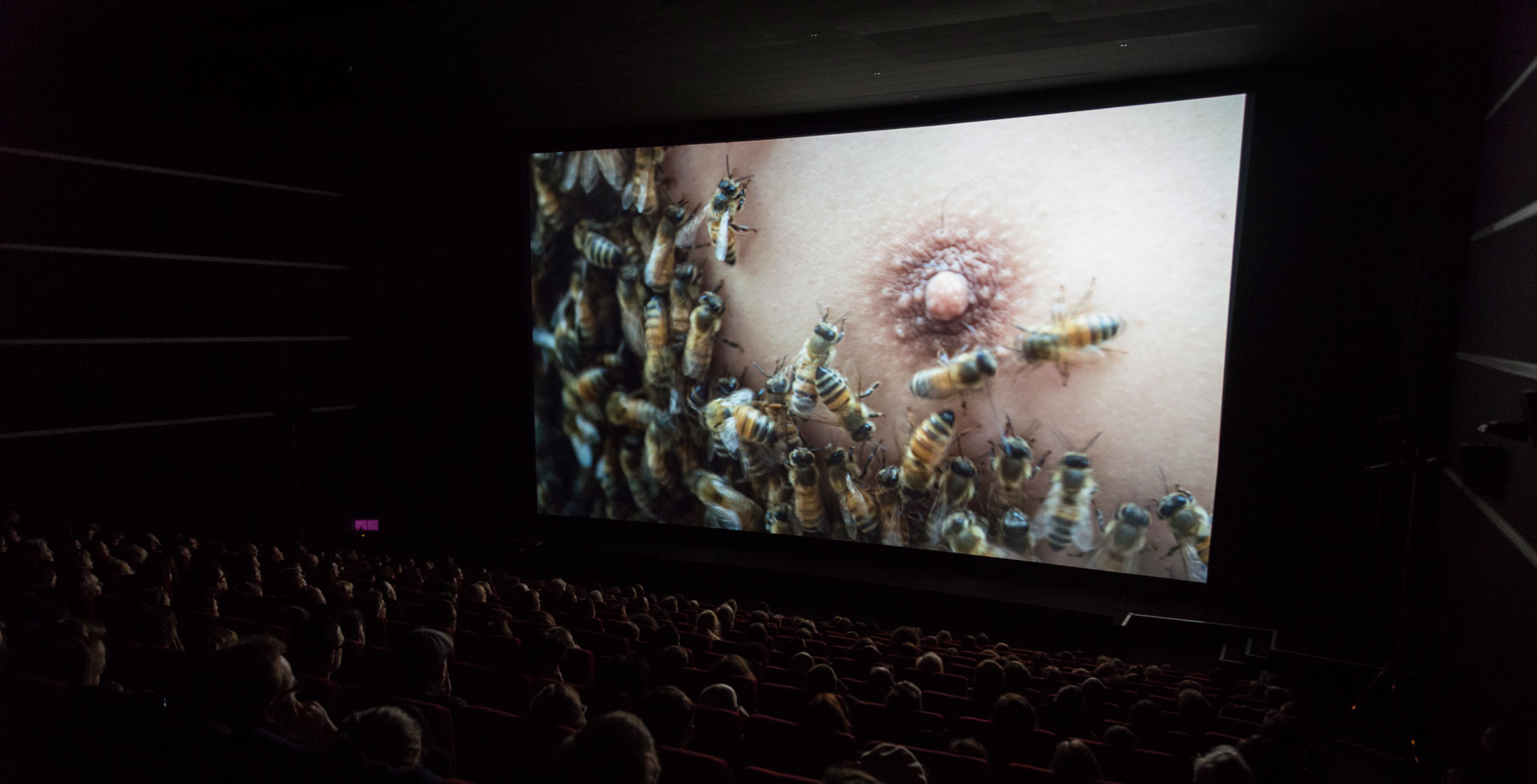 Marc-JOHNSON,-YúYú,-International-Premiere-at-CinemaxX-3,-Berlinale-Shorts-2015,-2-©-Heinrich-Volkel