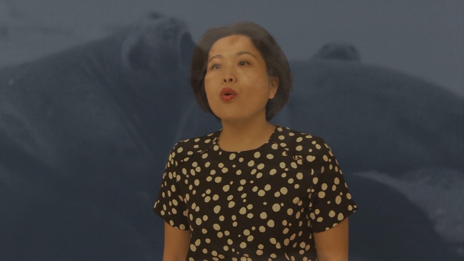 Marc Johnson is an awardwinning artist and filmmaker who works in Paris.